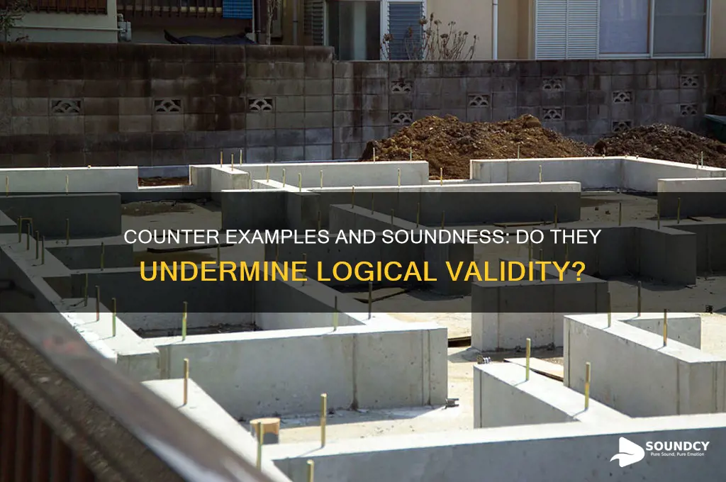 do counter examples deny soundness