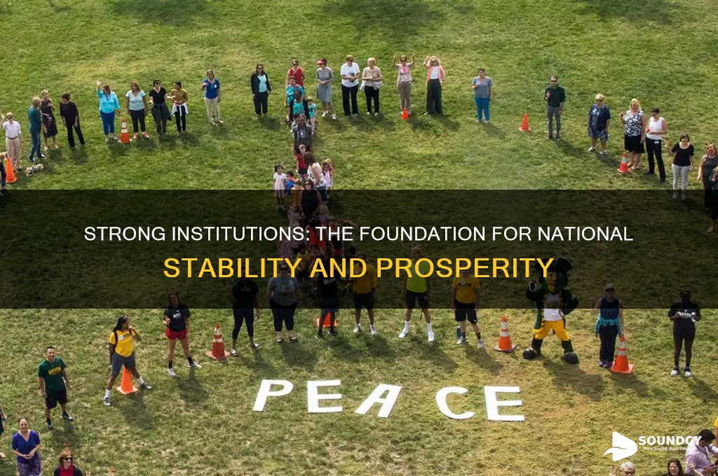 do countries need sound institutions