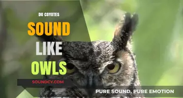 Coyote vs. Owl Calls: Unraveling the Mystery of Their Sounds