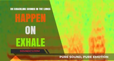 Crackling Sounds in Lungs: Exhale Insights and Causes Explained