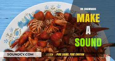 Unveiling the Mystery: Do Crawdads Make Sounds in the Wild?