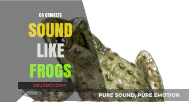 Crickets vs. Frogs: Unraveling the Unique Sounds of Nature's Nighttime Chorus