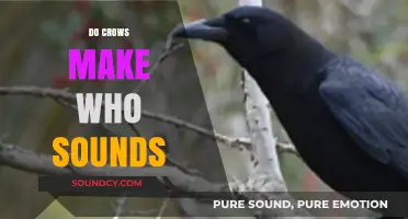 Do Crows Make Who Sounds? Unraveling the Mystery of Their Calls