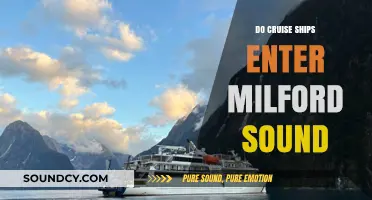 Cruise Ships in Milford Sound: Exploring the Fjord's Beauty