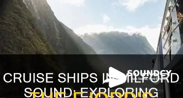 do cruise ships enter milford sound