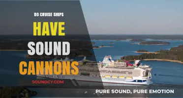 Cruise Ships: Sound Cannons for Safety?
