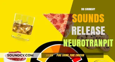 Crunchy Sounds and Neurotransmitters: Unlocking the Brain's Response