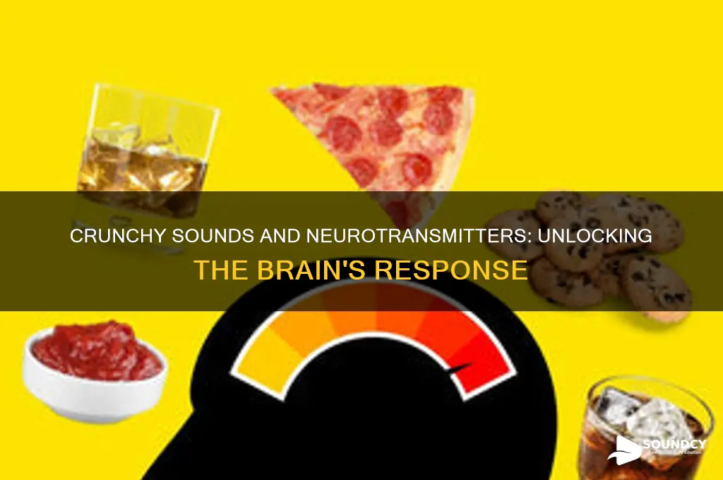 do crunchy sounds release neurotranpitters