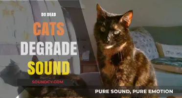 Do Dead Cats Degrade Sound? Exploring the Myth and Science