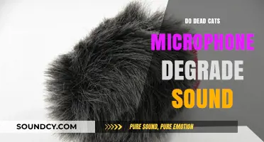 Microphone Sound Quality: Dead Cat Impact