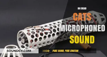 Do Dead Cats in Microphones Degrade Sound Quality? Exploring the Myth