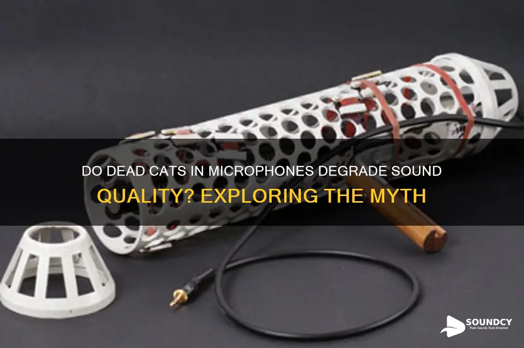 do dead cats microphonedegrade sound