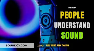 Do Deaf People Understand Sound? Exploring Auditory Perception and Awareness