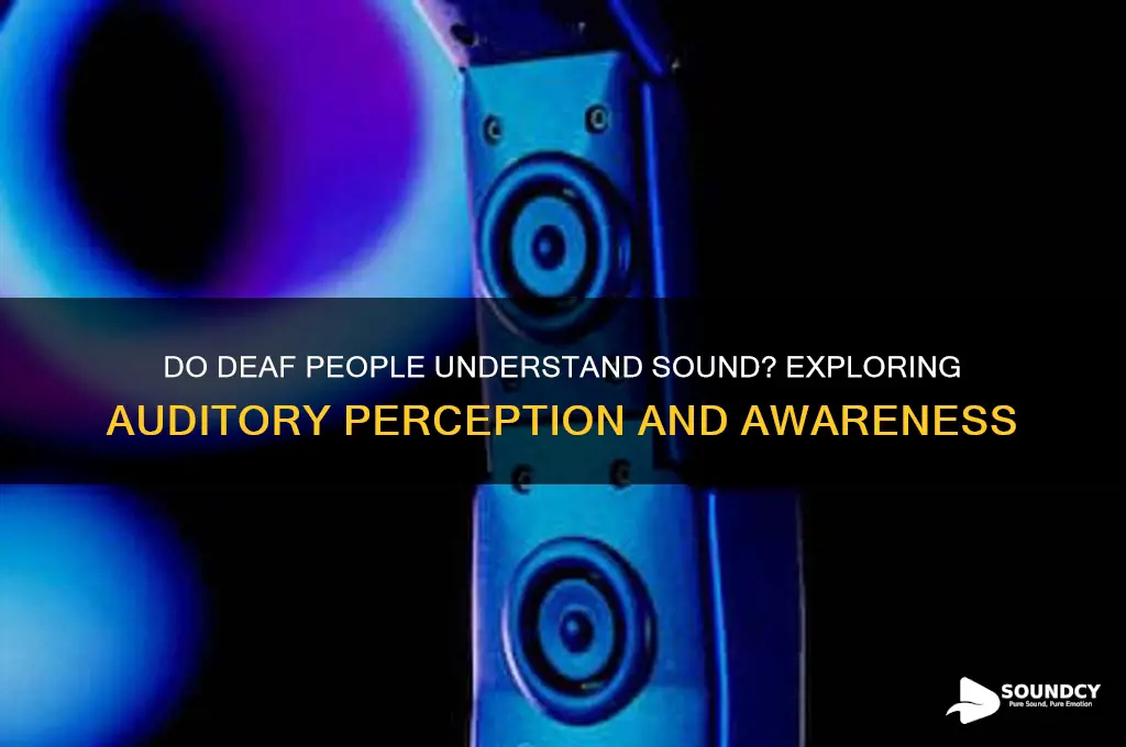 do deaf people understand sound
