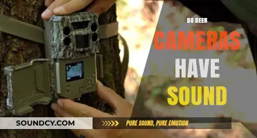 Do Deer Cameras Have Sound? Exploring Wildlife Monitoring Tech