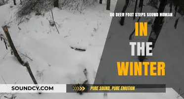 Winter Deer Tracks: Do Their Footsteps Mimic Human Sounds?
