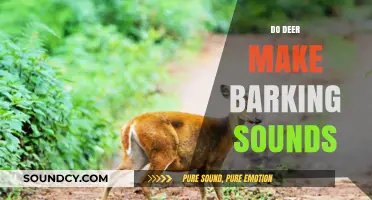Unusual Deer Noises: Do Deer Actually Bark Like Dogs?