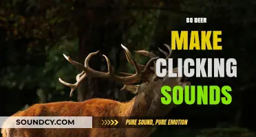 Do Deer Make Clicking Sounds? Uncovering the Mystery of Their Communication