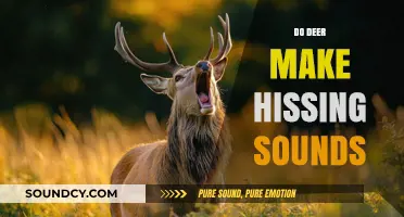 Do Deer Hiss? Uncovering the Truth About Their Vocalizations