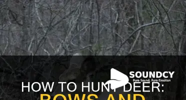 do deer run sound of bow