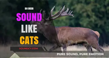 Do Deer Sound Like Cats? Unraveling the Mystery of Their Calls