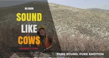 Unraveling the Myth: Do Deer Really Sound Like Cows?
