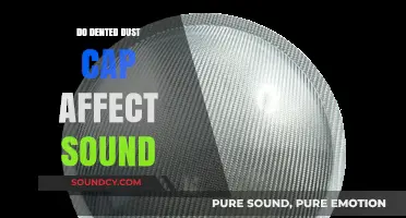 Dented Dust Caps: Impacting Audio Quality?
