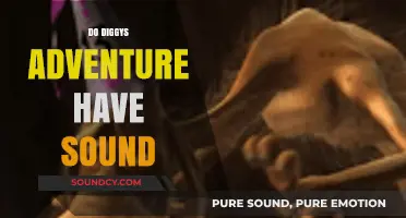 Does Diggy's Adventure Feature Sound Effects and Music?