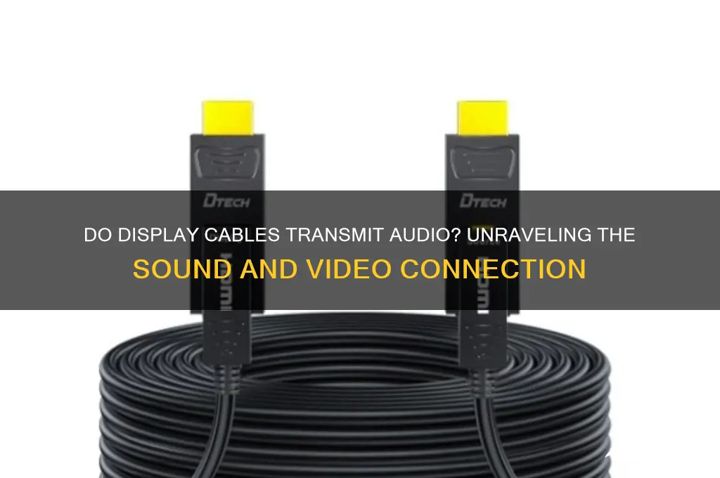 do display cables carry sound