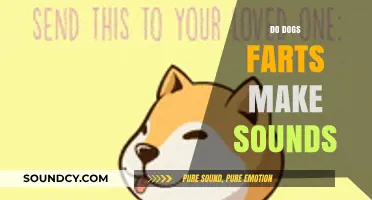 Do Dog Farts Make Sounds? Uncovering the Truth About Canine Gas