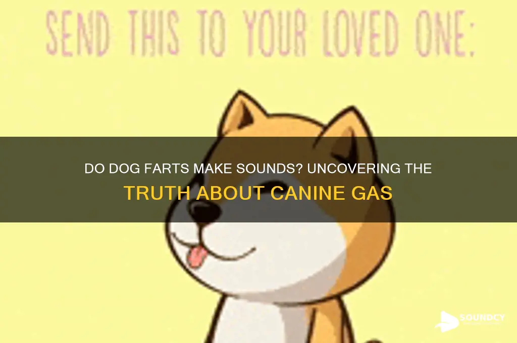 do dogs farts make sounds