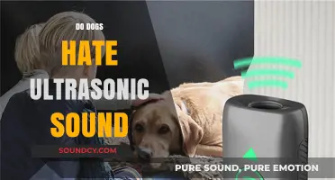 Do Dogs Hate Ultrasonic Sound? Exploring Canine Reactions to High Frequencies