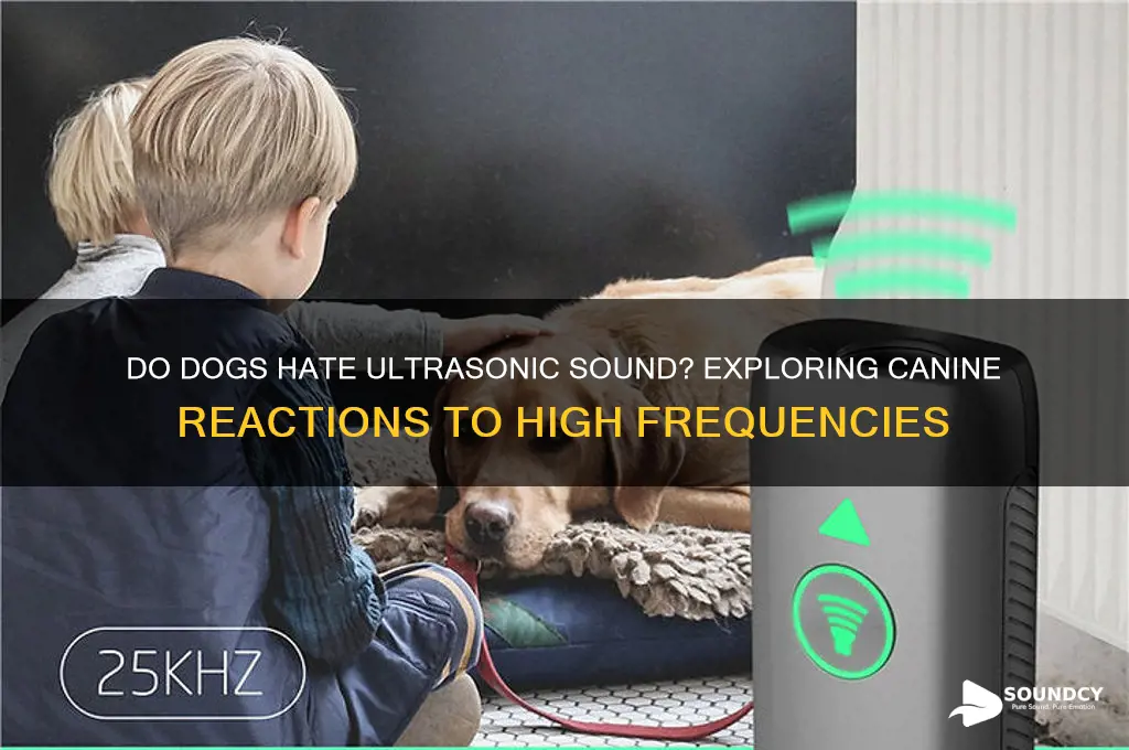 do dogs hate ultrasonic sound