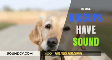 Do Dog Hiccups Make Noise? Exploring Canine Hiccups and Sounds