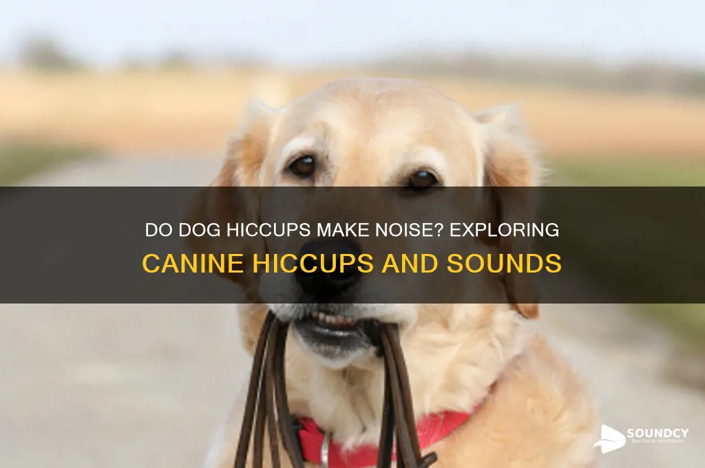 do dogs hiccups have sound