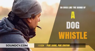 Do Dogs Enjoy the Sound of a Dog Whistle? Exploring Canine Reactions