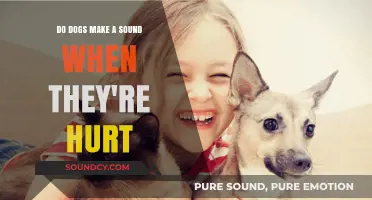 Understanding Canine Pain: Do Dogs Vocalize When They're Injured?