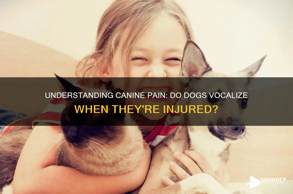 do dogs make a sound when they