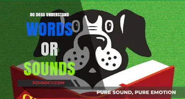 Understanding Dogs: Words or Sounds?
