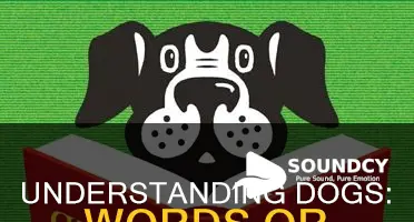 do dogs understand words or sounds