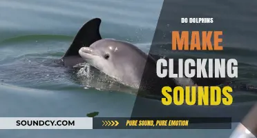 Do Dolphins Make Clicking Sounds? Unraveling Their Unique Communication Methods