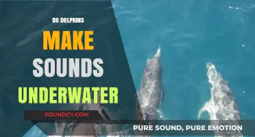 Unveiling the Underwater Symphony: How Dolphins Communicate with Sounds