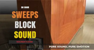 Do Door Sweeps Block Sound? Exploring Their Noise Reduction Effectiveness