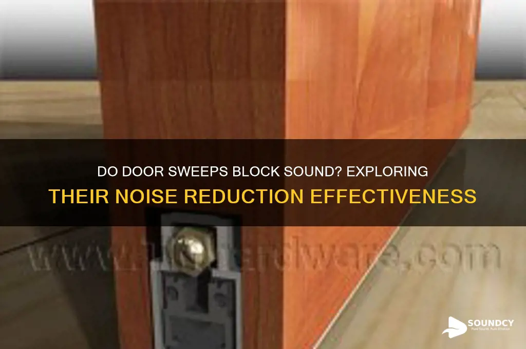 do door sweeps block sound