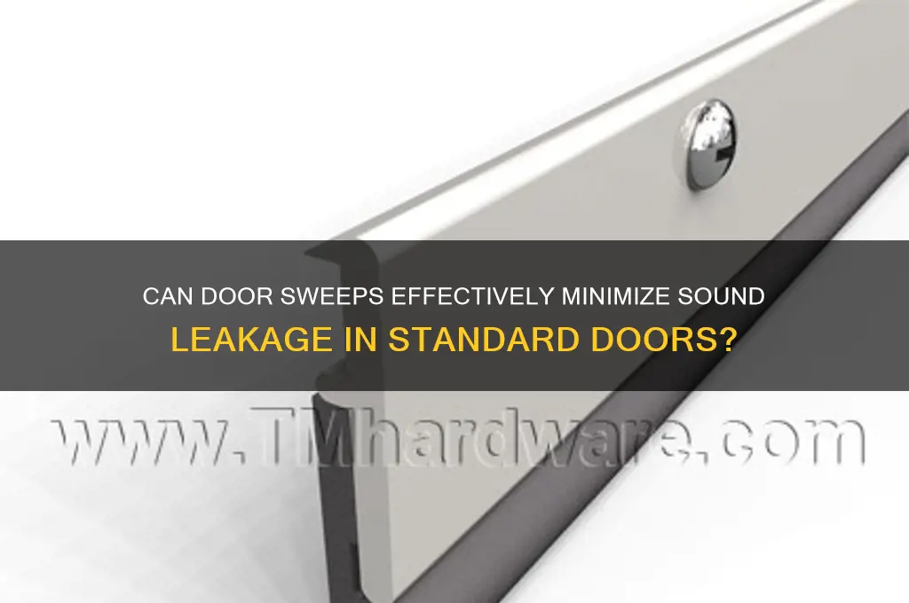 do door sweeps reduce sound leakage on normal doors