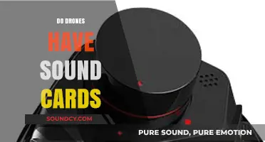 Do Drones Have Sound Cards? Exploring Audio Capabilities in UAVs