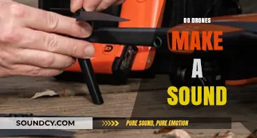Do Drones Make Noise? Exploring the Sounds of UAVs