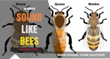 Do Drones Mimic Bee Buzz? Unraveling the Sound Mystery