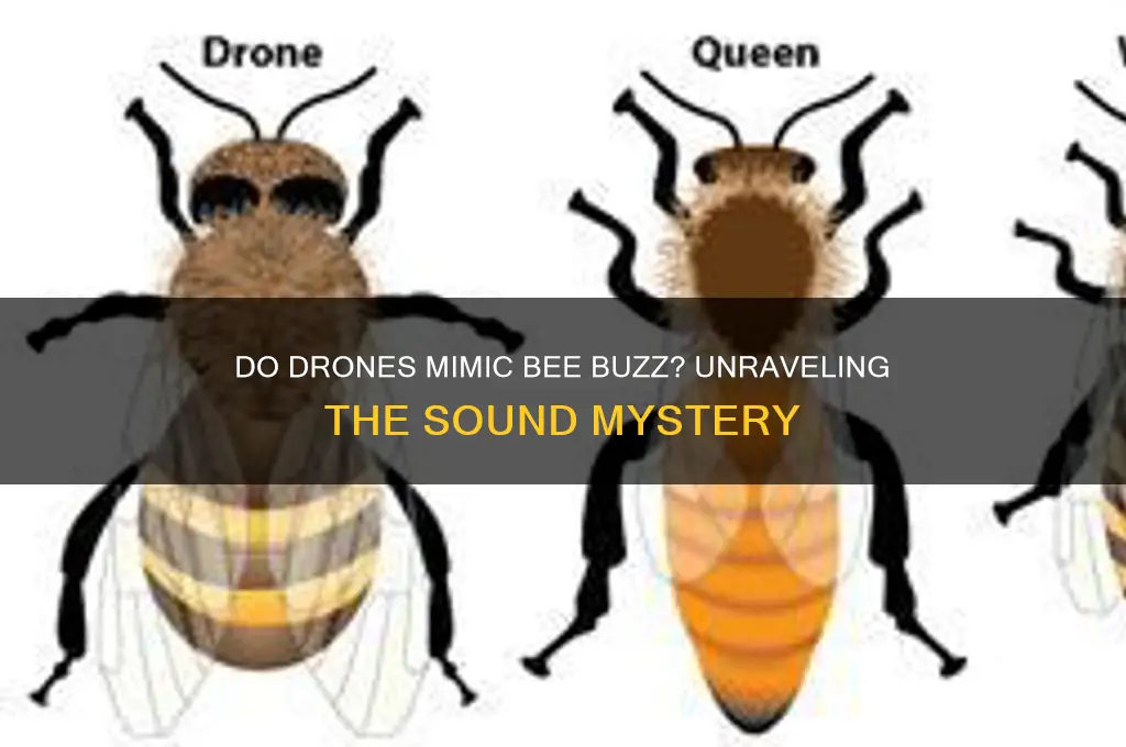 do drones sound like bees
