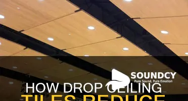 do drop ceiling tiles absorb sound